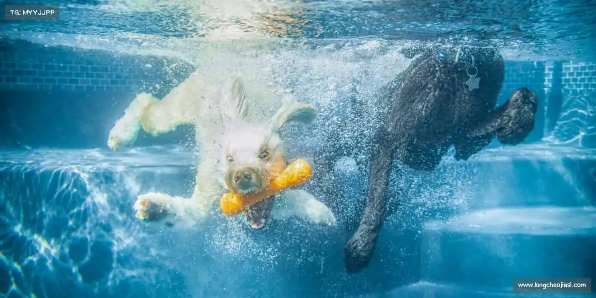 <strong>K1体育</strong>🧗‍♂️向上攀登，巅峰从不是终点！